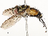  ( - CBG-A58553-F05)  @11 [ ] CreativeCommons - Attribution Share - Alike (2024) CBG Photography Group Centre for Biodiversity Genomics
