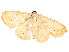  ( - CBG-A58554-A05)  @11 [ ] CreativeCommons - Attribution Share - Alike (2024) CBG Photography Group Centre for Biodiversity Genomics