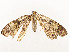  ( - CBG-A58554-B06)  @11 [ ] CreativeCommons - Attribution Share - Alike (2024) CBG Photography Group Centre for Biodiversity Genomics