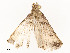  ( - CBG-A58554-B07)  @11 [ ] CreativeCommons - Attribution Share - Alike (2024) CBG Photography Group Centre for Biodiversity Genomics