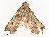  ( - CBG-A58554-B08)  @11 [ ] CreativeCommons - Attribution Share - Alike (2024) CBG Photography Group Centre for Biodiversity Genomics