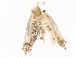  ( - CBG-A58554-E02)  @11 [ ] CreativeCommons - Attribution Share - Alike (2024) CBG Photography Group Centre for Biodiversity Genomics