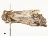  ( - CBG-A58554-E03)  @11 [ ] CreativeCommons - Attribution Share - Alike (2024) CBG Photography Group Centre for Biodiversity Genomics