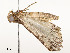  ( - CBG-A58554-F04)  @11 [ ] CreativeCommons - Attribution Share - Alike (2024) CBG Photography Group Centre for Biodiversity Genomics