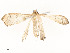  ( - CBG-A58554-F07)  @11 [ ] CreativeCommons - Attribution Share - Alike (2024) CBG Photography Group Centre for Biodiversity Genomics
