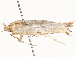  ( - CBG-A58554-F11)  @11 [ ] CreativeCommons - Attribution Share - Alike (2024) CBG Photography Group Centre for Biodiversity Genomics