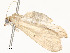  ( - CBG-A58554-G07)  @11 [ ] CreativeCommons - Attribution Share - Alike (2024) CBG Photography Group Centre for Biodiversity Genomics