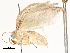  ( - CBG-A58555-C11)  @11 [ ] CreativeCommons - Attribution Share - Alike (2024) CBG Photography Group Centre for Biodiversity Genomics