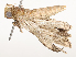  ( - CBG-A58555-D04)  @11 [ ] CreativeCommons - Attribution Share - Alike (2024) CBG Photography Group Centre for Biodiversity Genomics