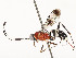  (cryptJanzen01 Malaise9884 - CBG-A58556-E04)  @11 [ ] CreativeCommons - Attribution Share - Alike (2024) CBG Photography Group Centre for Biodiversity Genomics