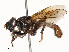  ( - CBG-A58557-B08)  @11 [ ] CreativeCommons - Attribution Share - Alike (2024) CBG Photography Group Centre for Biodiversity Genomics