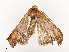  ( - CBG-A58558-A07)  @11 [ ] CreativeCommons - Attribution Share - Alike (2025) CBG Photography Group Centre for Biodiversity Genomics