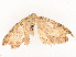  ( - CBG-A58558-E05)  @11 [ ] CreativeCommons - Attribution Share - Alike (2025) CBG Photography Group Centre for Biodiversity Genomics