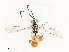  ( - CBG-A58559-B03)  @11 [ ] CreativeCommons - Attribution Share - Alike (2025) CBG Photography Group Centre for Biodiversity Genomics