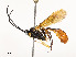  ( - CBG-A58559-C01)  @11 [ ] CreativeCommons - Attribution Share - Alike (2025) CBG Photography Group Centre for Biodiversity Genomics