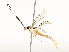  ( - CBG-A58559-D12)  @11 [ ] CreativeCommons - Attribution Share - Alike (2025) CBG Photography Group Centre for Biodiversity Genomics