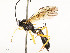  ( - CBG-A58559-E05)  @11 [ ] CreativeCommons - Attribution Share - Alike (2025) CBG Photography Group Centre for Biodiversity Genomics