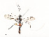  ( - CBG-A58559-F02)  @11 [ ] CreativeCommons - Attribution Share - Alike (2025) CBG Photography Group Centre for Biodiversity Genomics