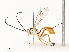  ( - CBG-A58559-F04)  @11 [ ] CreativeCommons - Attribution Share - Alike (2025) CBG Photography Group Centre for Biodiversity Genomics