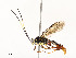  ( - CBG-A58560-A08)  @11 [ ] CreativeCommons - Attribution Share - Alike (2025) CBG Photography Group Centre for Biodiversity Genomics