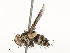  ( - CBG-A58560-D07)  @11 [ ] CreativeCommons - Attribution Share - Alike (2025) CBG Photography Group Centre for Biodiversity Genomics
