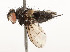  ( - CBG-A58560-G07)  @11 [ ] CreativeCommons - Attribution Share - Alike (2025) CBG Photography Group Centre for Biodiversity Genomics