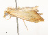  ( - CBG-A58560-G12)  @11 [ ] CreativeCommons - Attribution Share - Alike (2025) CBG Photography Group Centre for Biodiversity Genomics