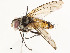  ( - CBG-A58609-B03)  @11 [ ] CreativeCommons - Attribution Share - Alike (2025) CBG Photography Group Centre for Biodiversity Genomics