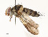  ( - CBG-A58609-B08)  @11 [ ] CreativeCommons - Attribution Share - Alike (2025) CBG Photography Group Centre for Biodiversity Genomics
