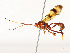 ( - CBG-A58609-D12)  @11 [ ] CreativeCommons - Attribution Share - Alike (2025) CBG Photography Group Centre for Biodiversity Genomics