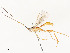 ( - CBG-A58657-A01)  @11 [ ] CreativeCommons - Attribution Share - Alike (2024) CBG Photography Group Centre for Biodiversity Genomics