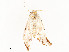  ( - CBG-A58657-C09)  @11 [ ] CreativeCommons - Attribution Share - Alike (2024) CBG Photography Group Centre for Biodiversity Genomics