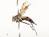  ( - CBG-A58657-C10)  @11 [ ] CreativeCommons - Attribution Share - Alike (2024) CBG Photography Group Centre for Biodiversity Genomics