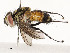  ( - CBG-A58657-E02)  @11 [ ] CreativeCommons - Attribution Share - Alike (2024) CBG Photography Group Centre for Biodiversity Genomics