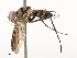  ( - CBG-A58658-B10)  @11 [ ] CreativeCommons - Attribution Share - Alike (2024) CBG Photography Group Centre for Biodiversity Genomics