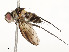  ( - CBG-A58658-C09)  @11 [ ] CreativeCommons - Attribution Share - Alike (2024) CBG Photography Group Centre for Biodiversity Genomics