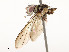  ( - CBG-A58658-C10)  @11 [ ] CreativeCommons - Attribution Share - Alike (2024) CBG Photography Group Centre for Biodiversity Genomics