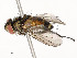  ( - CBG-A58658-D03)  @11 [ ] CreativeCommons - Attribution Share - Alike (2024) CBG Photography Group Centre for Biodiversity Genomics