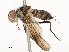  ( - CBG-A58658-D05)  @11 [ ] CreativeCommons - Attribution Share - Alike (2024) CBG Photography Group Centre for Biodiversity Genomics