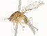  ( - CBG-A58658-E04)  @11 [ ] CreativeCommons - Attribution Share - Alike (2024) CBG Photography Group Centre for Biodiversity Genomics