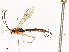  ( - CBG-A58658-F09)  @11 [ ] CreativeCommons - Attribution Share - Alike (2024) CBG Photography Group Centre for Biodiversity Genomics