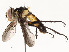  ( - CBG-A58658-H02)  @11 [ ] CreativeCommons - Attribution Share - Alike (2024) CBG Photography Group Centre for Biodiversity Genomics