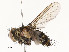  ( - CBG-A58658-H04)  @11 [ ] CreativeCommons - Attribution Share - Alike (2024) CBG Photography Group Centre for Biodiversity Genomics