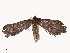  ( - CBG-A58659-B06)  @11 [ ] CreativeCommons - Attribution Share - Alike (2025) CBG Photography Group Centre for Biodiversity Genomics