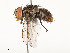  ( - CBG-A58659-B07)  @11 [ ] CreativeCommons - Attribution Share - Alike (2025) CBG Photography Group Centre for Biodiversity Genomics