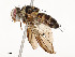  ( - CBG-A58659-H02)  @11 [ ] CreativeCommons - Attribution Share - Alike (2025) CBG Photography Group Centre for Biodiversity Genomics