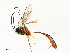  ( - CBG-A58660-C02)  @11 [ ] CreativeCommons - Attribution Share - Alike (2025) CBG Photography Group Centre for Biodiversity Genomics