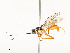  ( - CBG-A58660-G10)  @11 [ ] CreativeCommons - Attribution Share - Alike (2025) CBG Photography Group Centre for Biodiversity Genomics