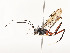  ( - CBG-A58660-G12)  @11 [ ] CreativeCommons - Attribution Share - Alike (2025) CBG Photography Group Centre for Biodiversity Genomics