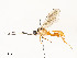  ( - CBG-A58660-H09)  @11 [ ] CreativeCommons - Attribution Share - Alike (2025) CBG Photography Group Centre for Biodiversity Genomics